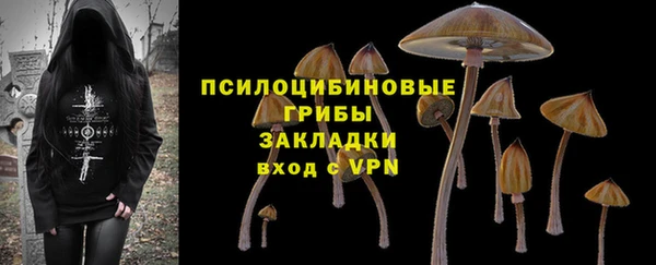 кокс Алзамай