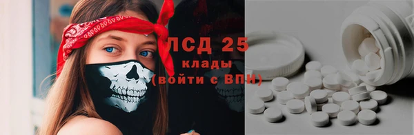 ГАЛЛЮЦИНОГЕННЫЕ ГРИБЫ Алексин