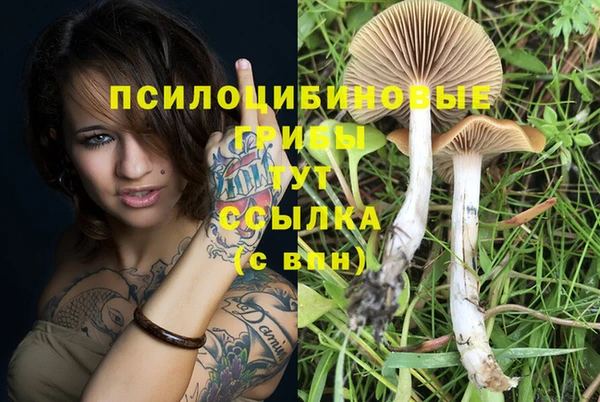 ГАЛЛЮЦИНОГЕННЫЕ ГРИБЫ Алексин