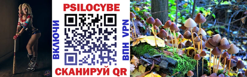 Псилоцибиновые грибы мицелий ссылка на мегу tor Крым мориарти наркотические препараты продажа наркотиков